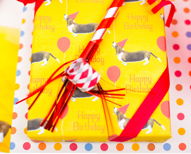 Basset Hound Reversible Eco-Wrap