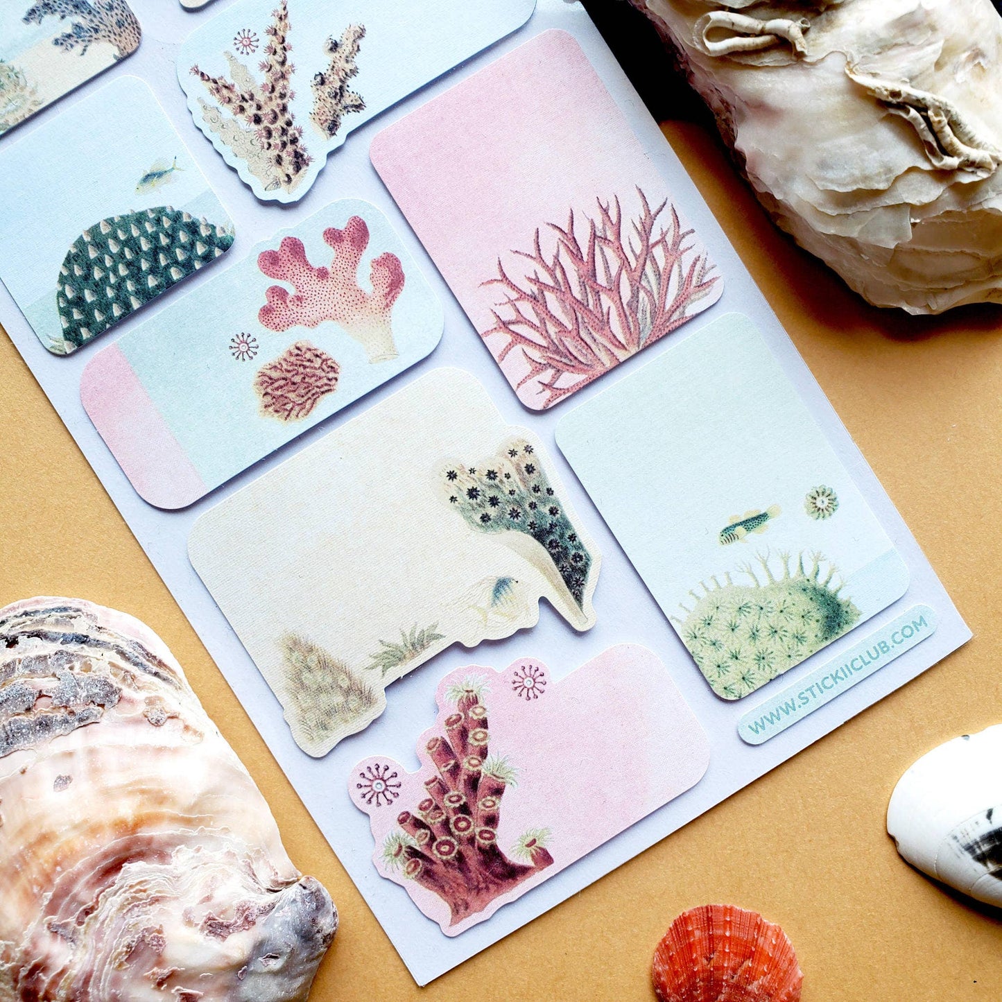 Coral Labels Sticker Sheet