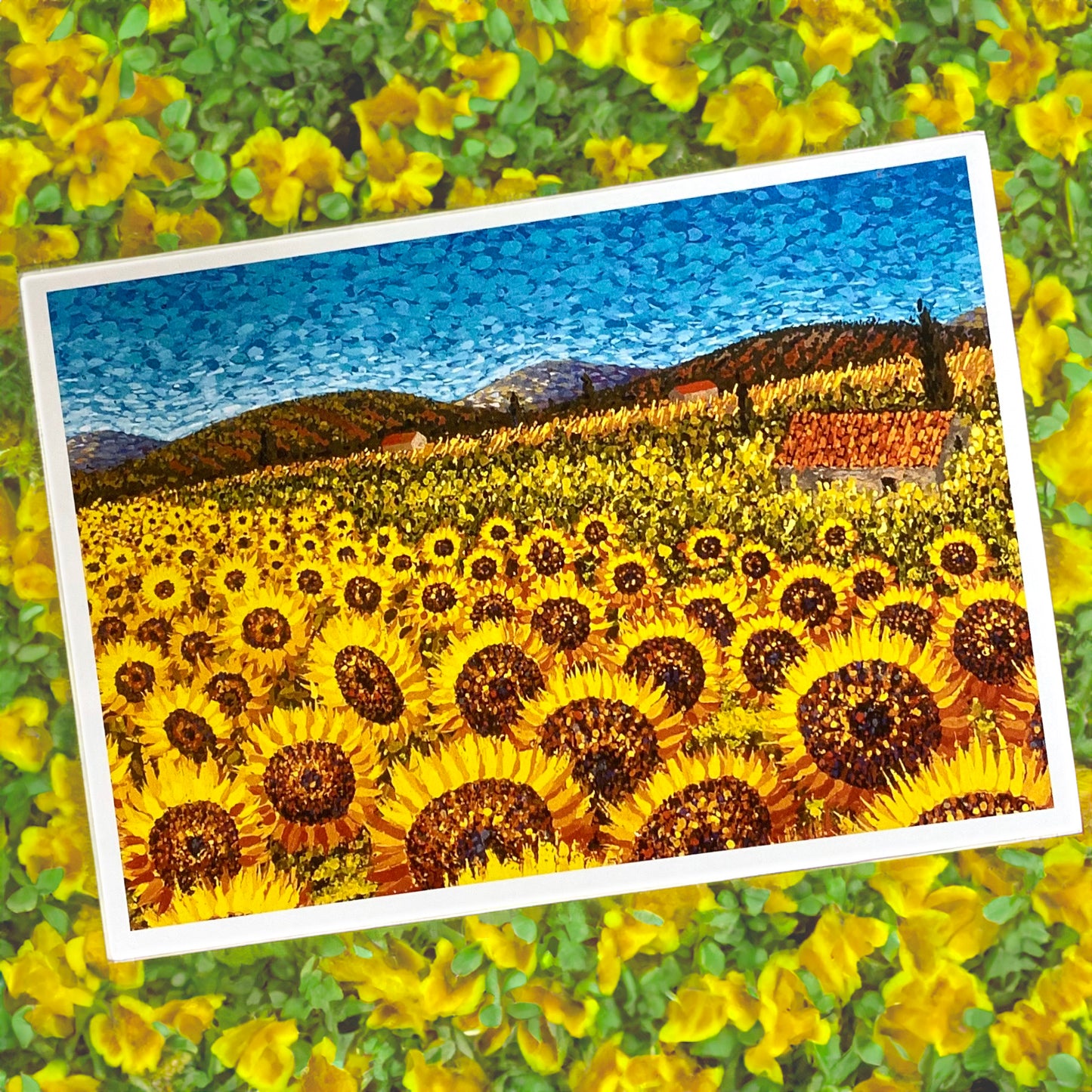 Sunflowers, Umbria Cards