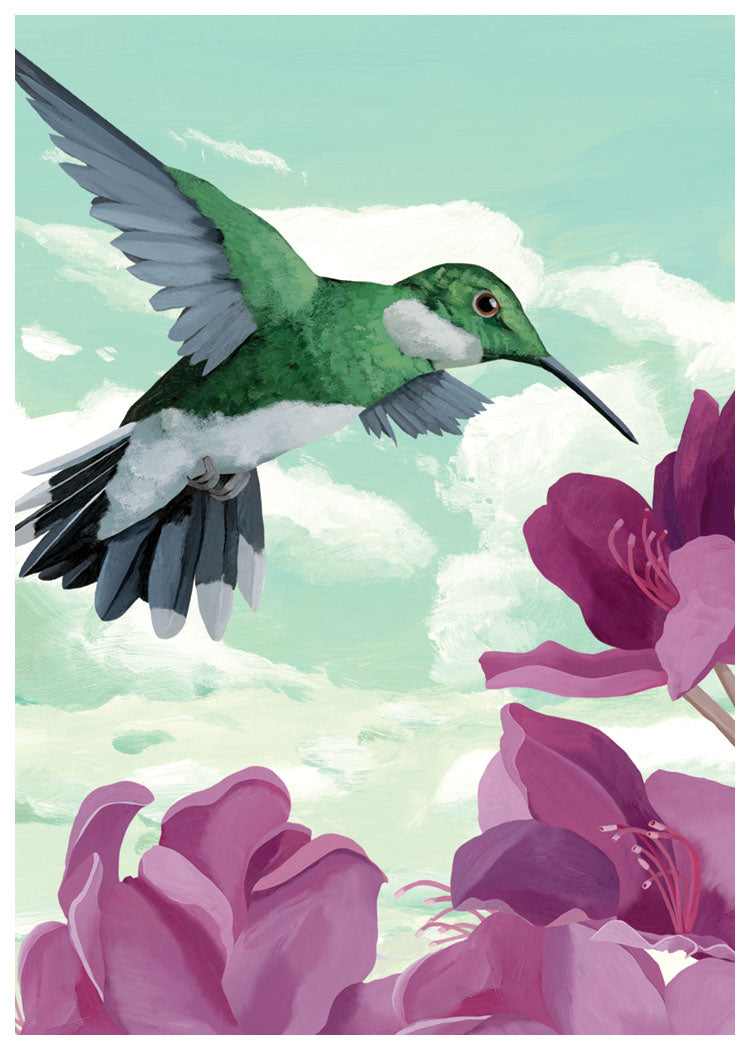 Hummingbird Card