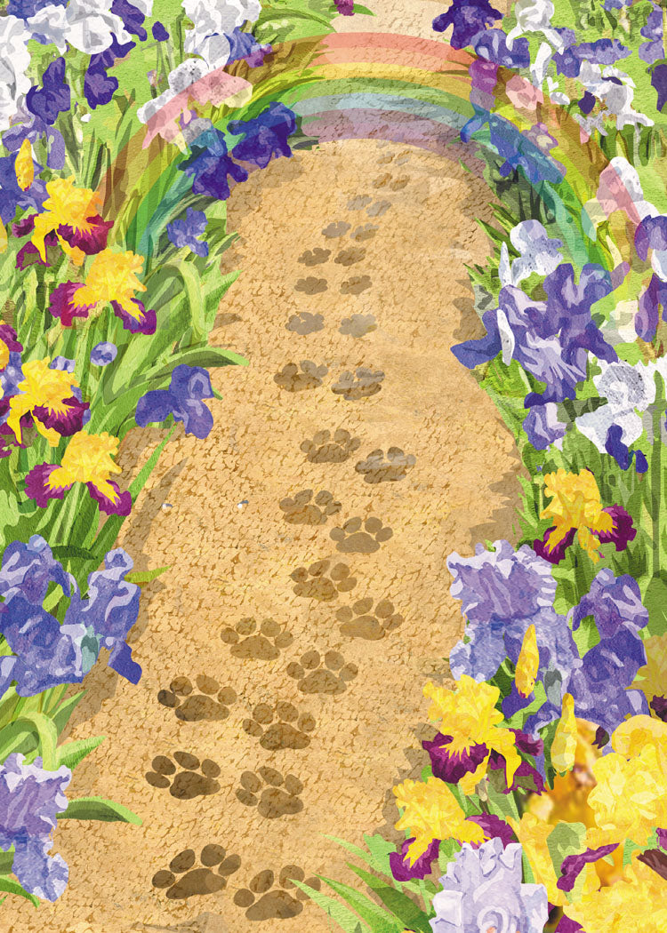 Path to the Rainbow Bridge Pet Sympathy Card