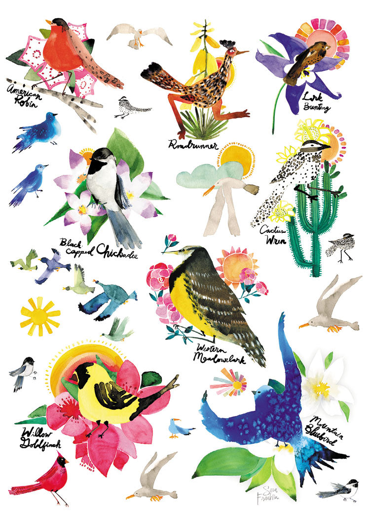 Birds of North America Blank Cards