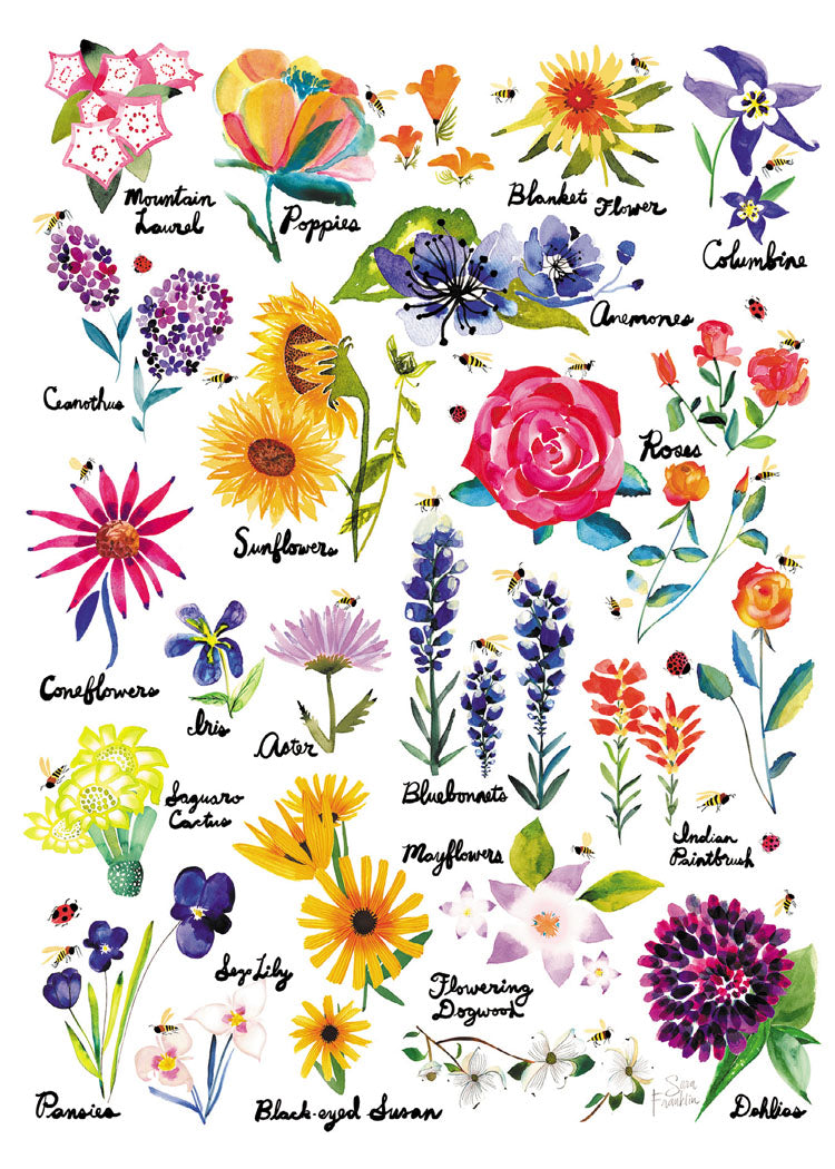 Franklin's Companion Guide: Flowers Blank Cards