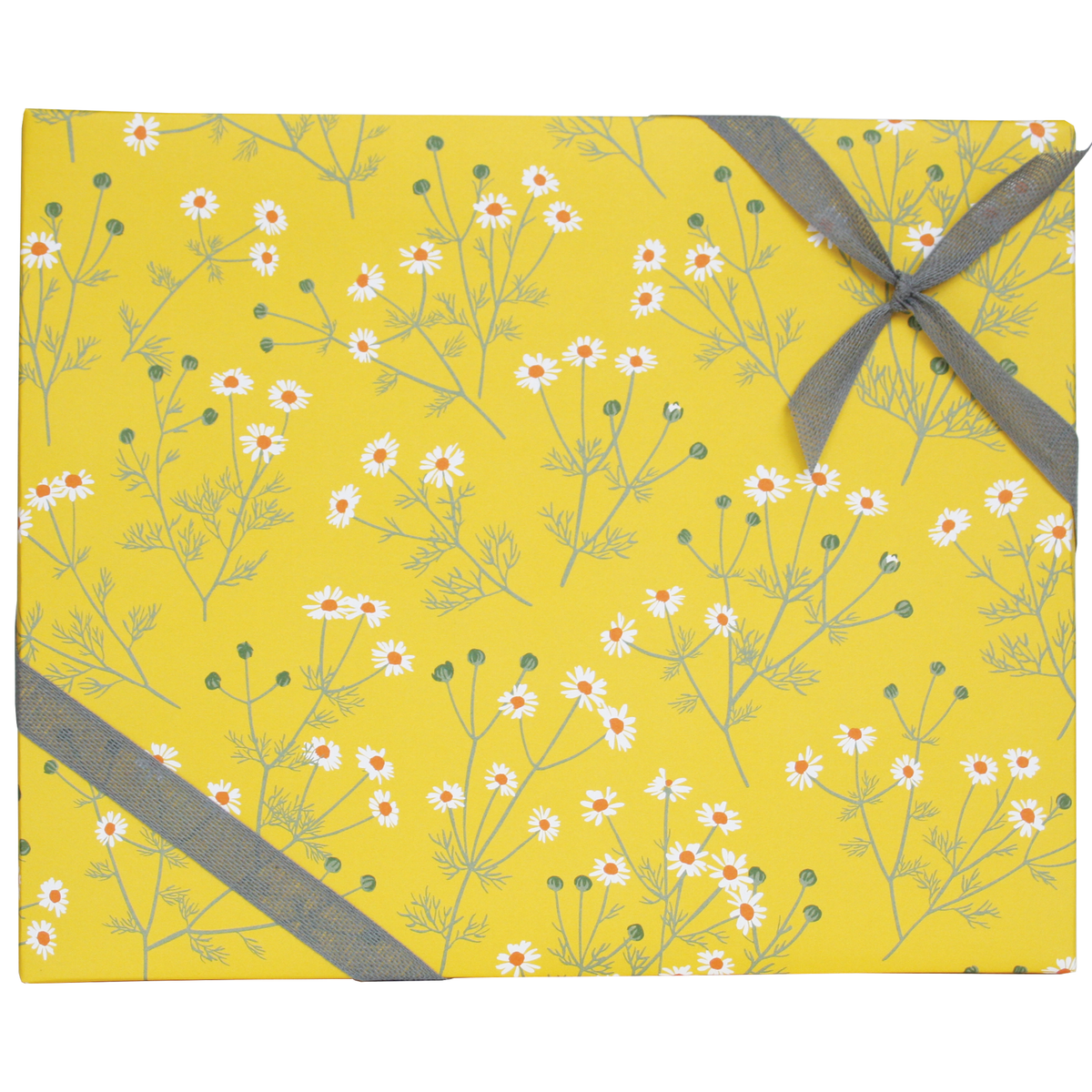 Chamomile Gift Wrap, 2 Rolls