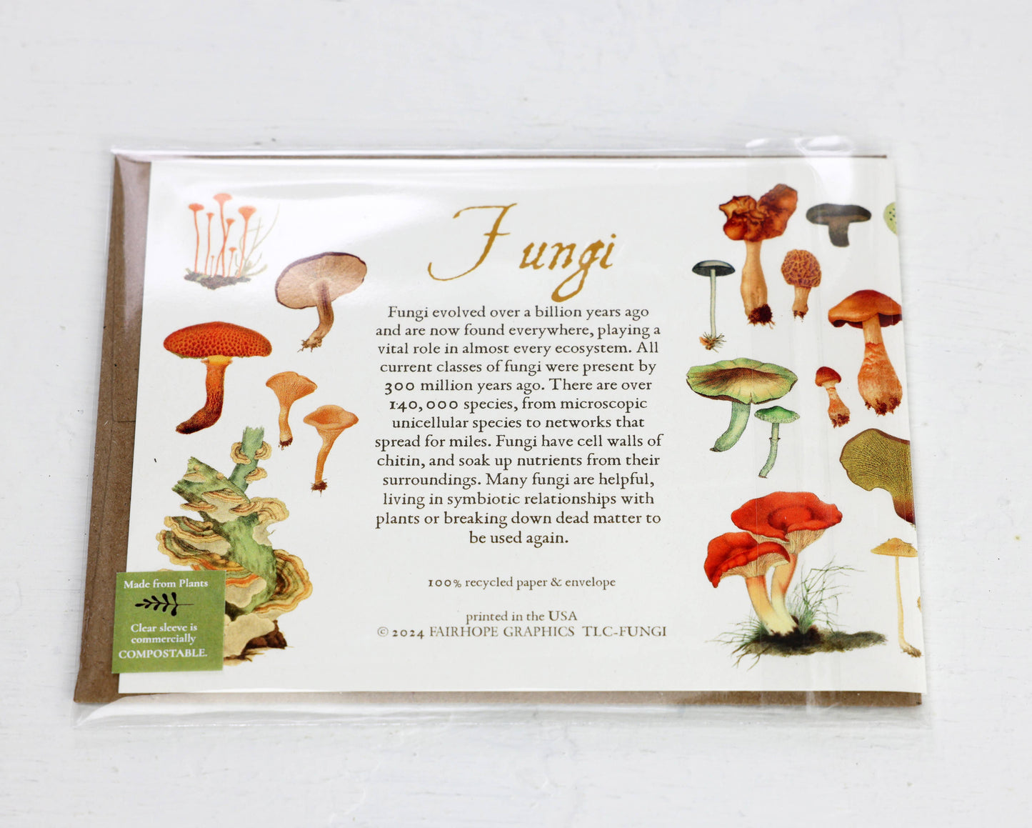History of Fungi Blank Card