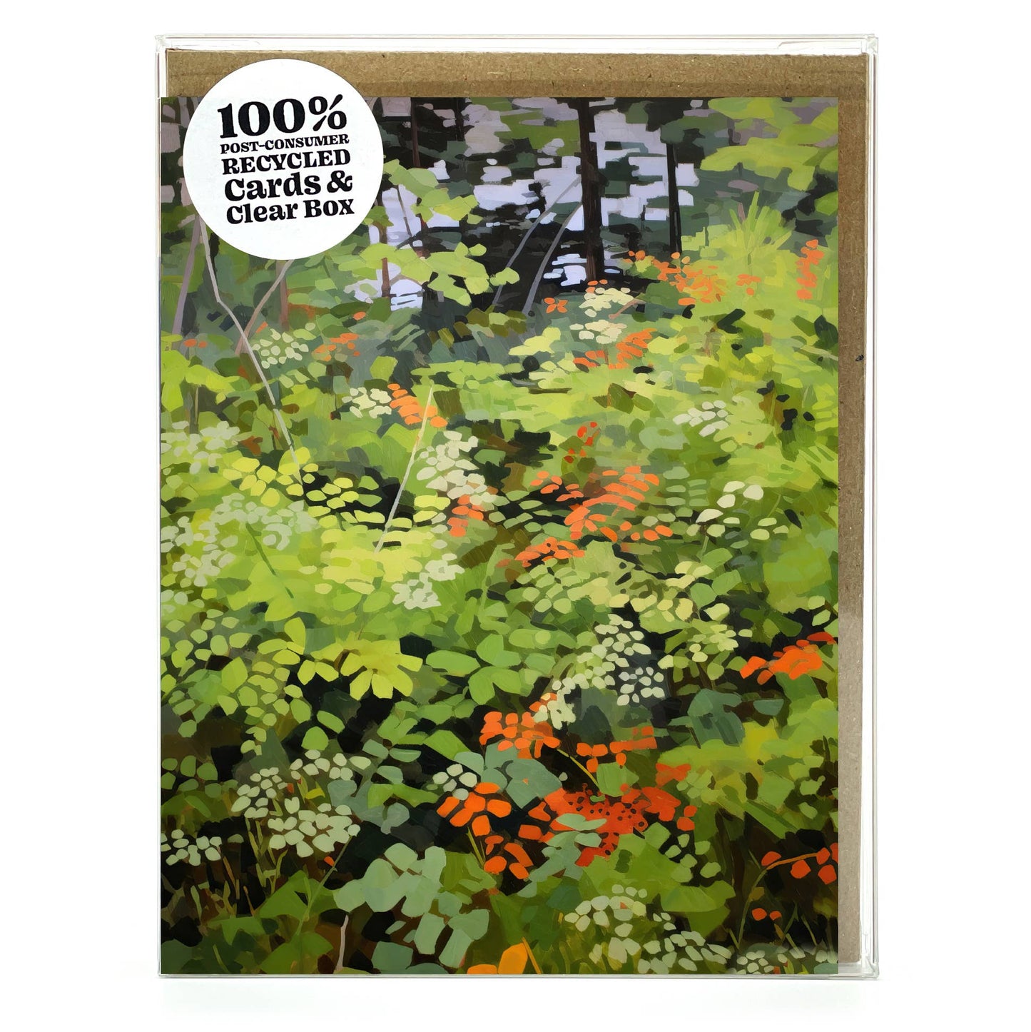 Into the Forest Assorted Blank Boxed Note Cards