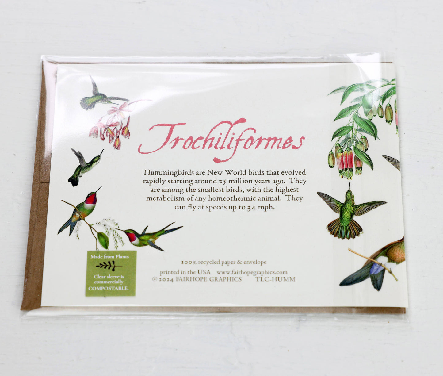 History of Hummingbirds Blank Card