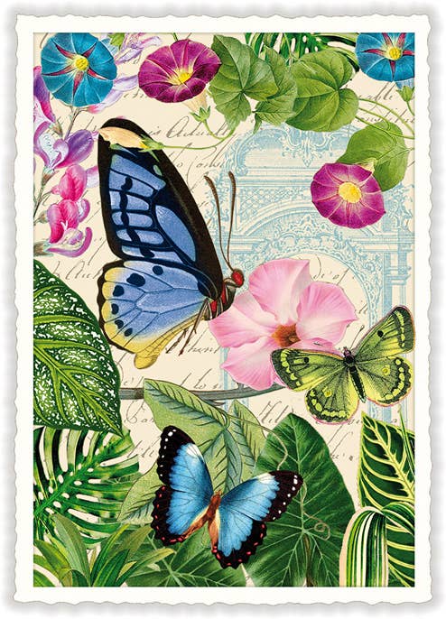 Vintage Butterfly Flowers Postcard
