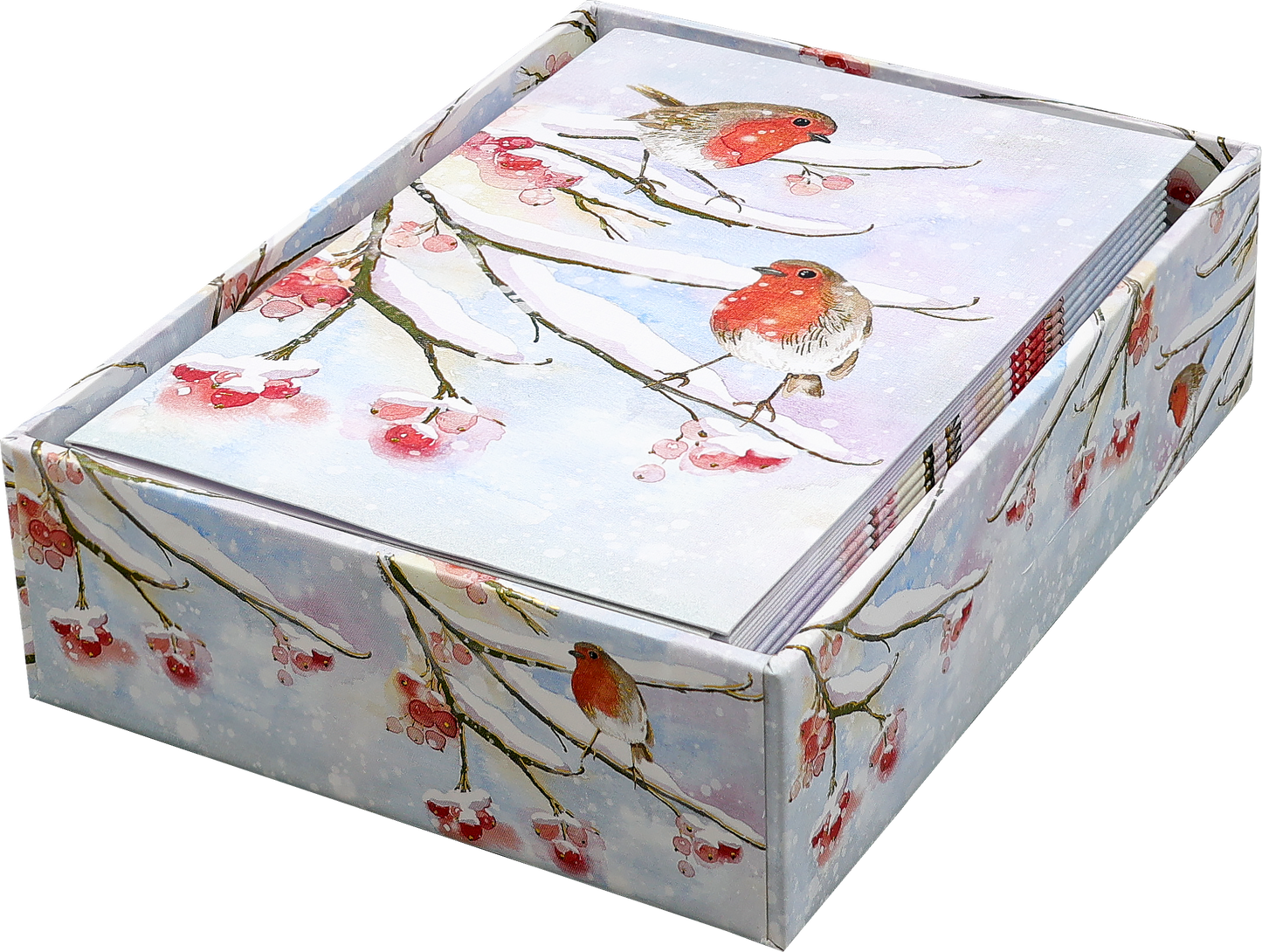 English Robins in Snow Small Boxed Holiday Cards