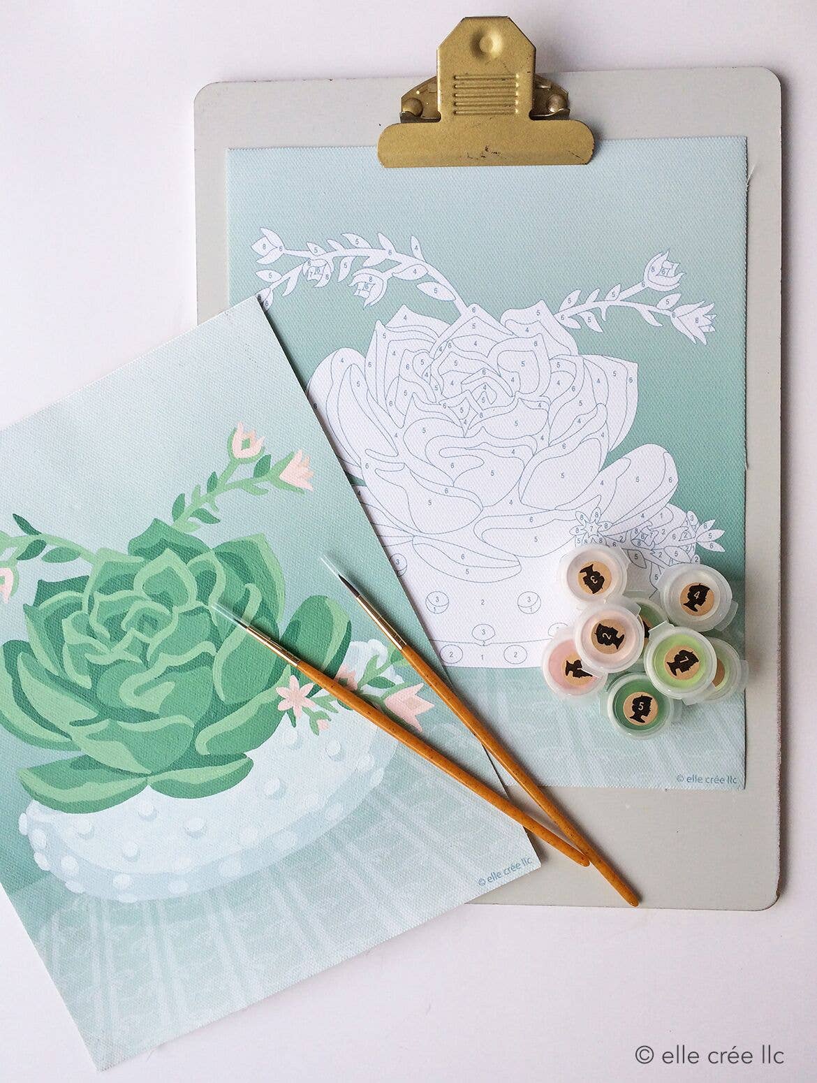 Blooming Succulent Paint By Numbers Kit