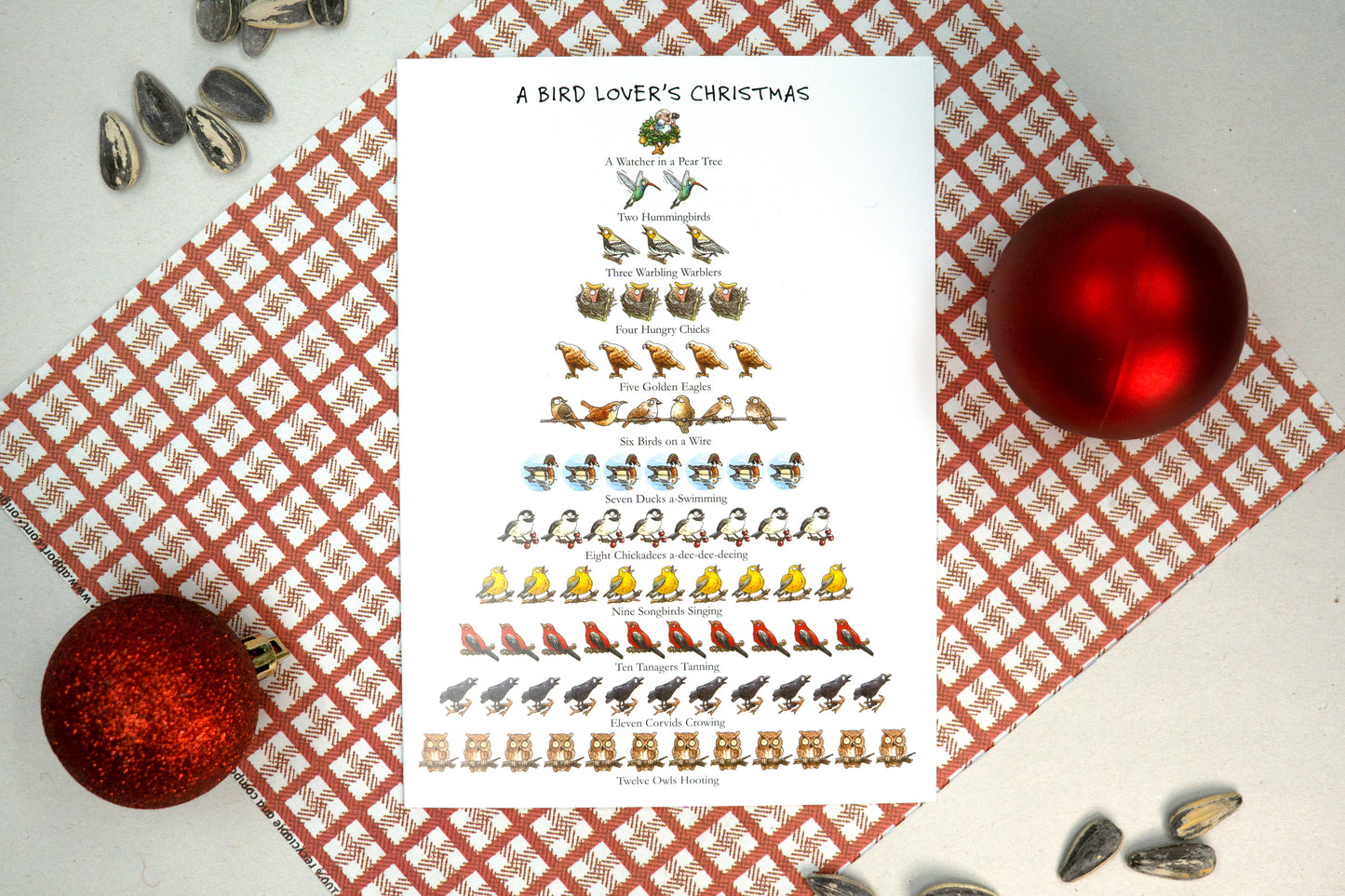 Bird Lover's Christmas 12-Days Holiday Cards