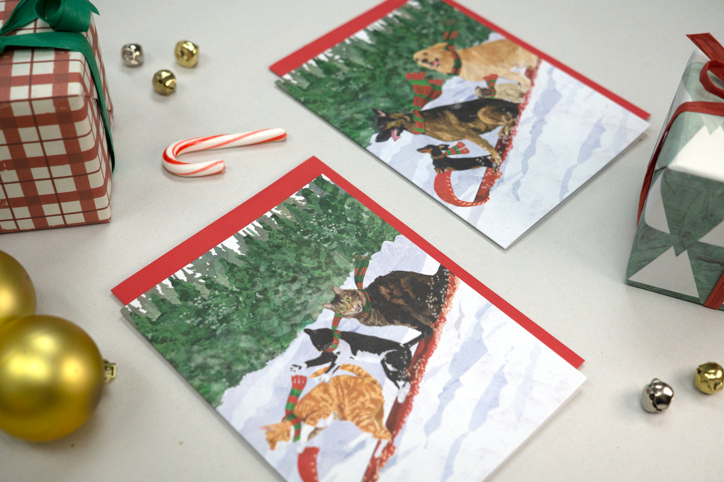 Cats Toboggan Holiday Cards