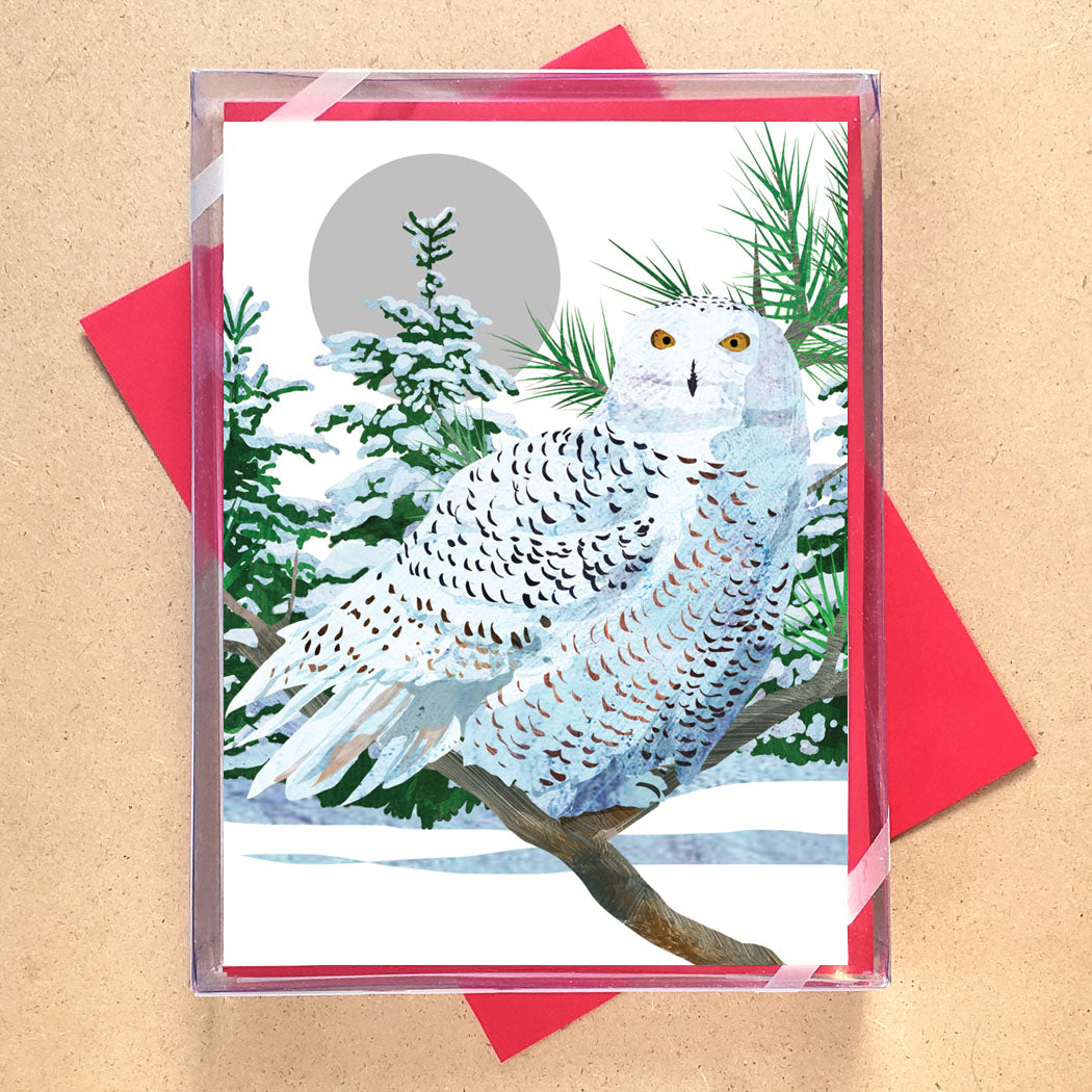 Snowy White Owl Holiday Cards