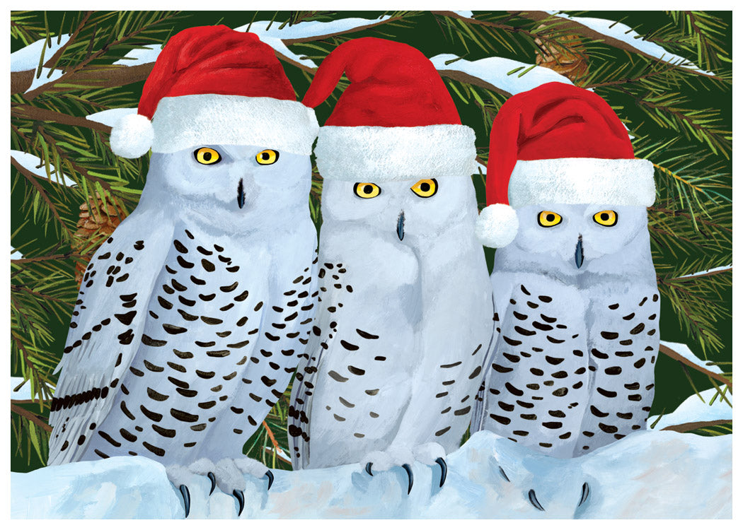 Three Owls Family Holiday Cards