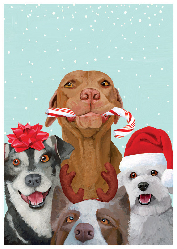 Dog Pals Holiday Cards