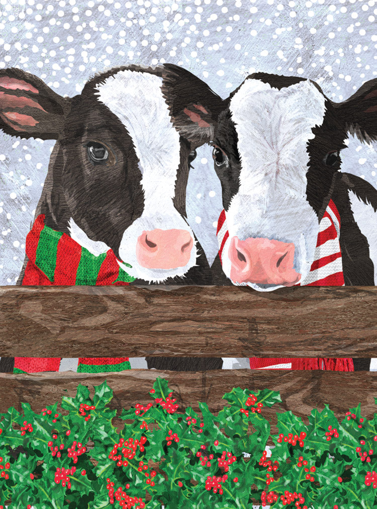 Two Snow Cows Holiday Cards