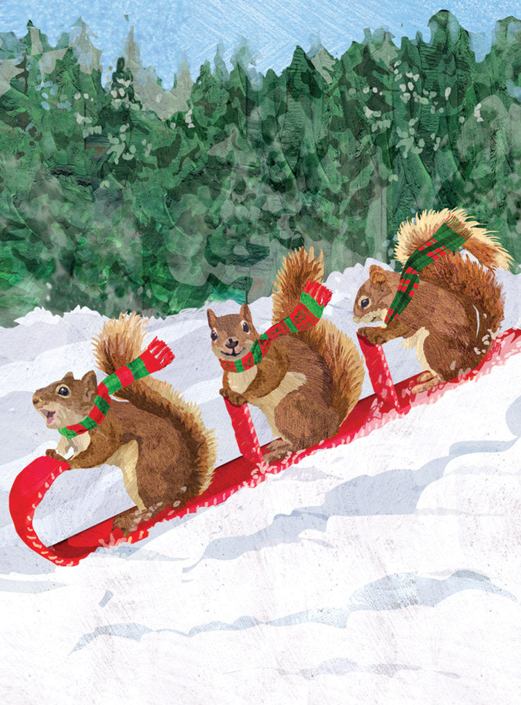 Squirrel Toboggan Holiday Cards
