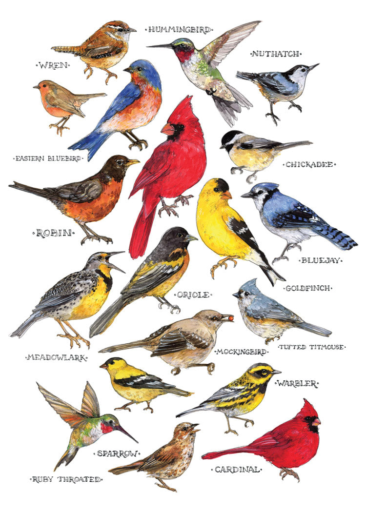 Songbirds Blank Cards