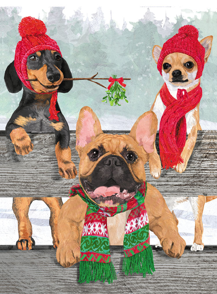 Winter Woofs Holiday Cards