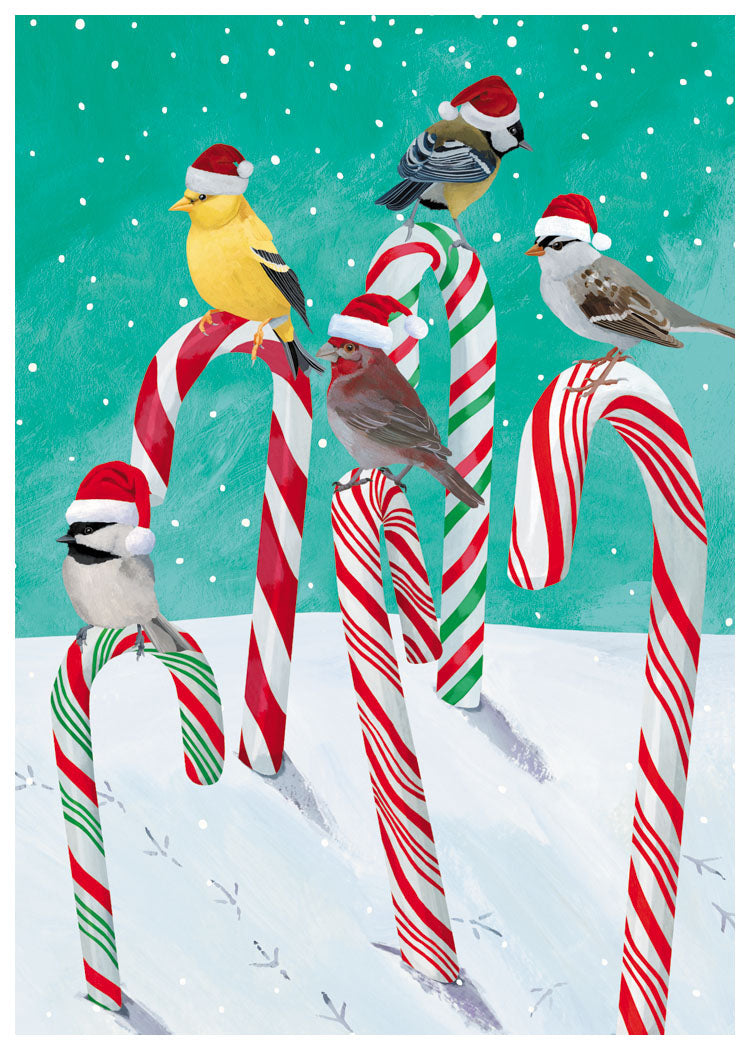 Candy Cane Birds Holiday Cards