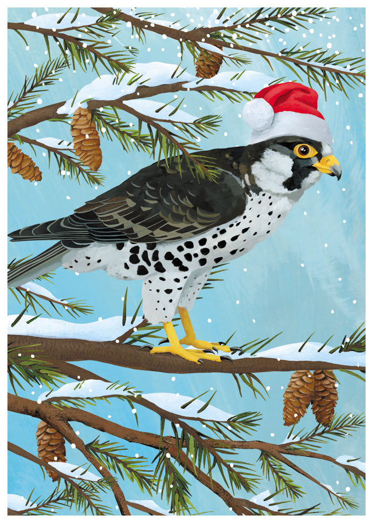 Falcon Holiday Cards