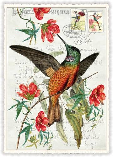 Vintage Hummingbird Flower Postcard