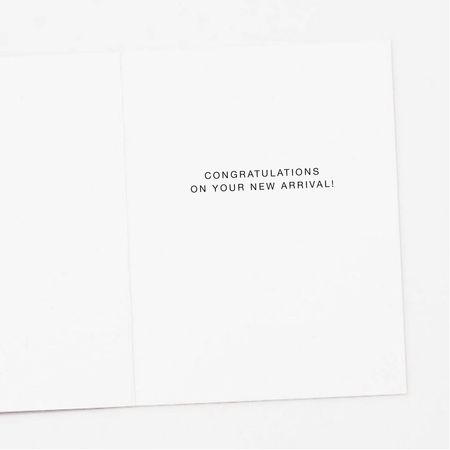 Stork Oh Baby New Baby Greeting Card