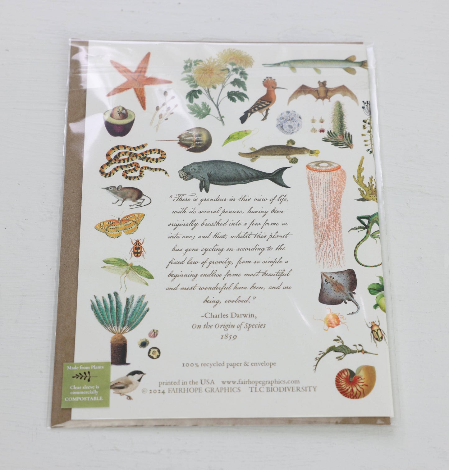 History of Biodiversity Blank Card