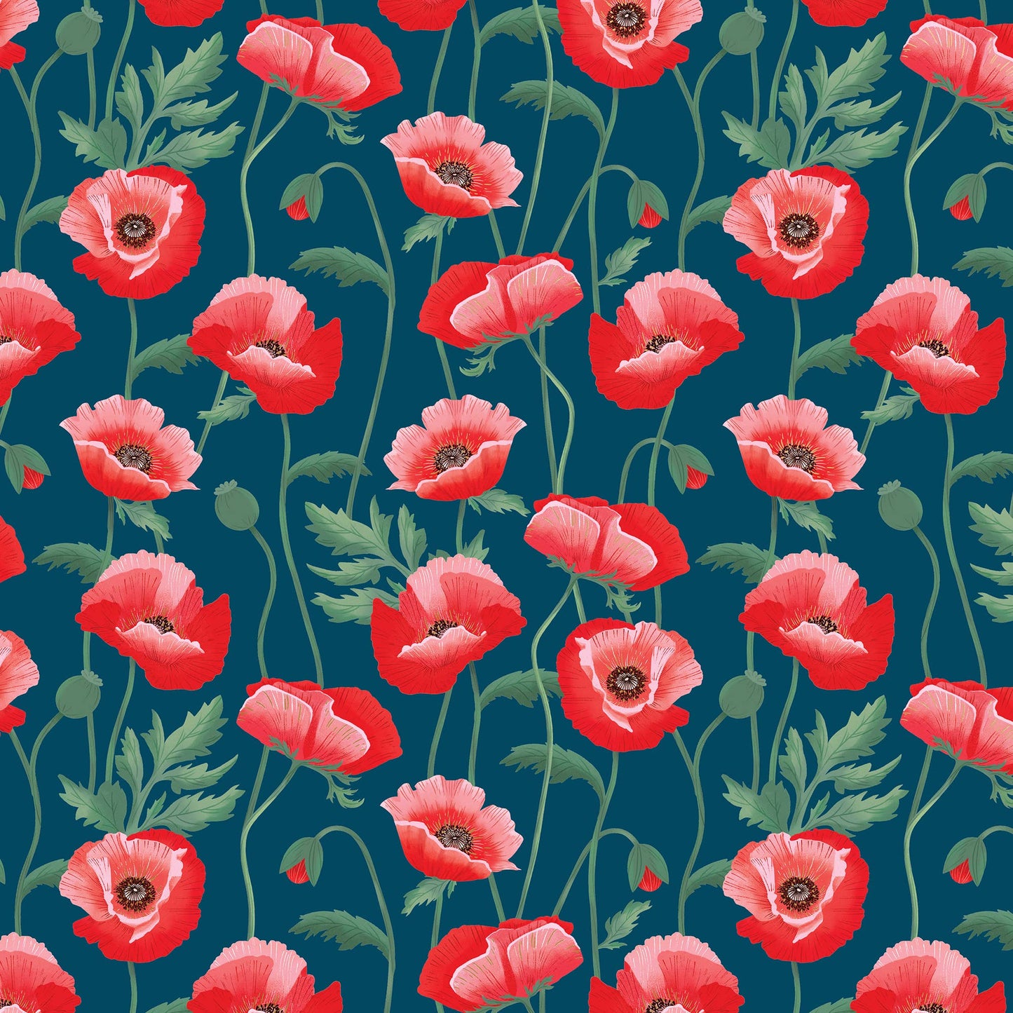 Pretty Poppies Wrapping Paper, 2 Rolls