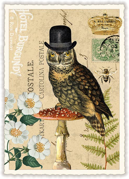 Dapper Owl Postcard