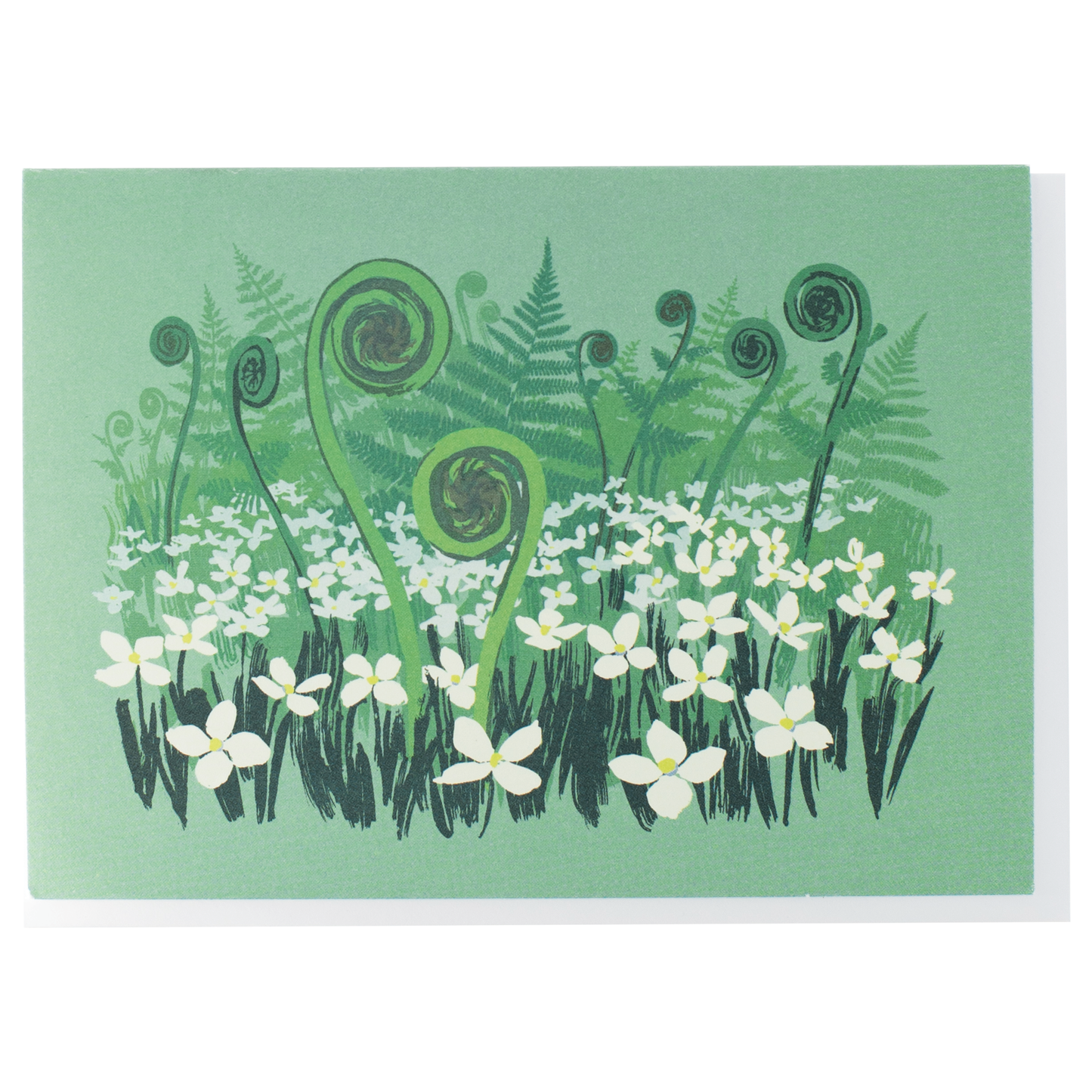 Fiddlehead Ferns Note Cards
