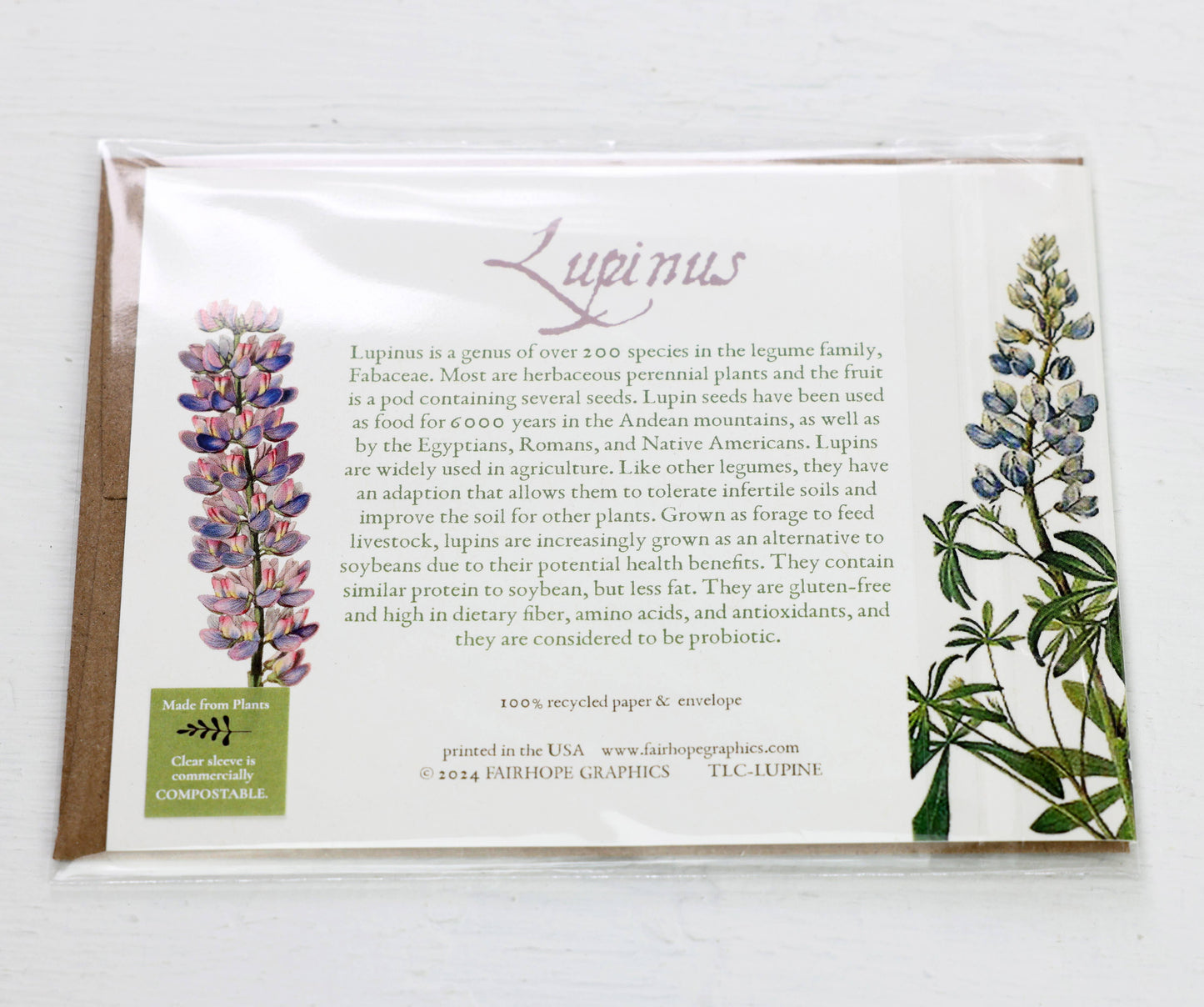 History of Lupinus Blank Card