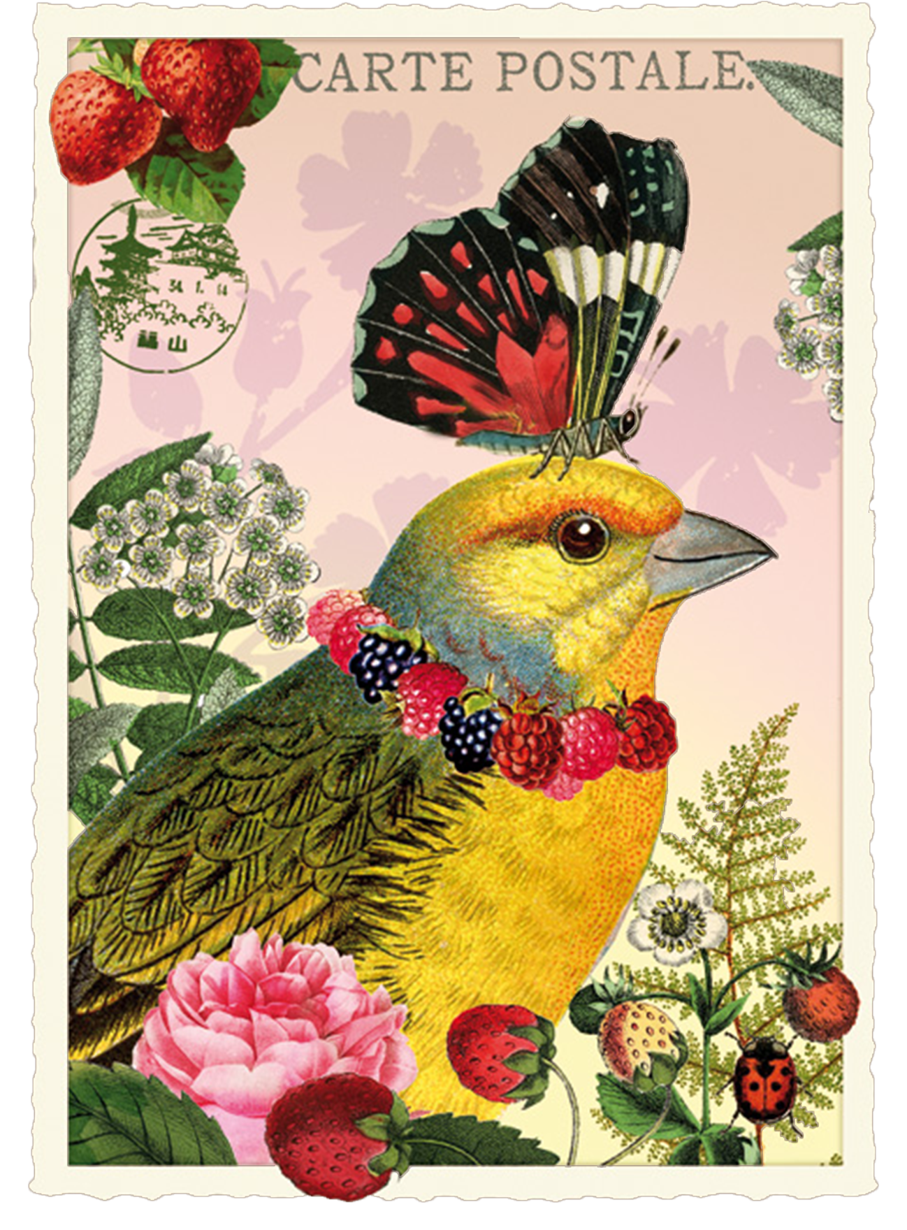 Vintage Butterfly and Bird Postcard