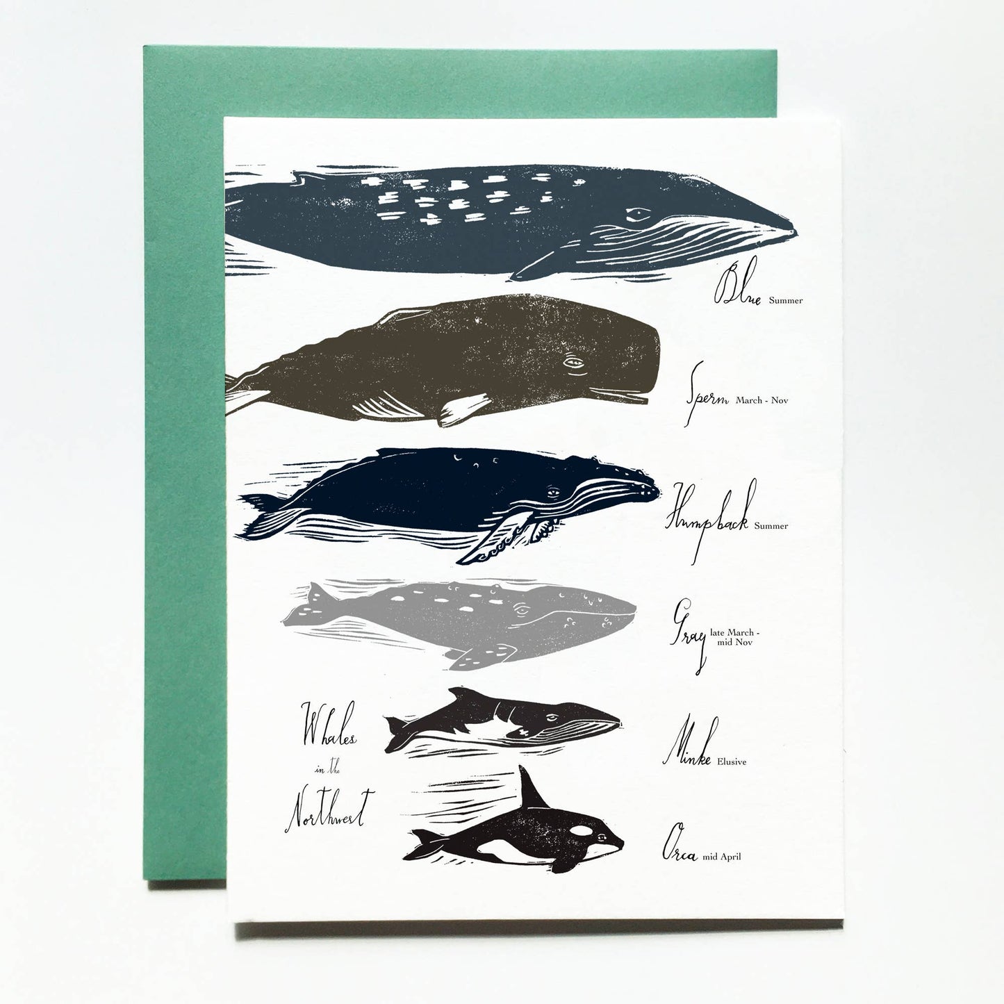 Whales in the Pacific NW Blank Card