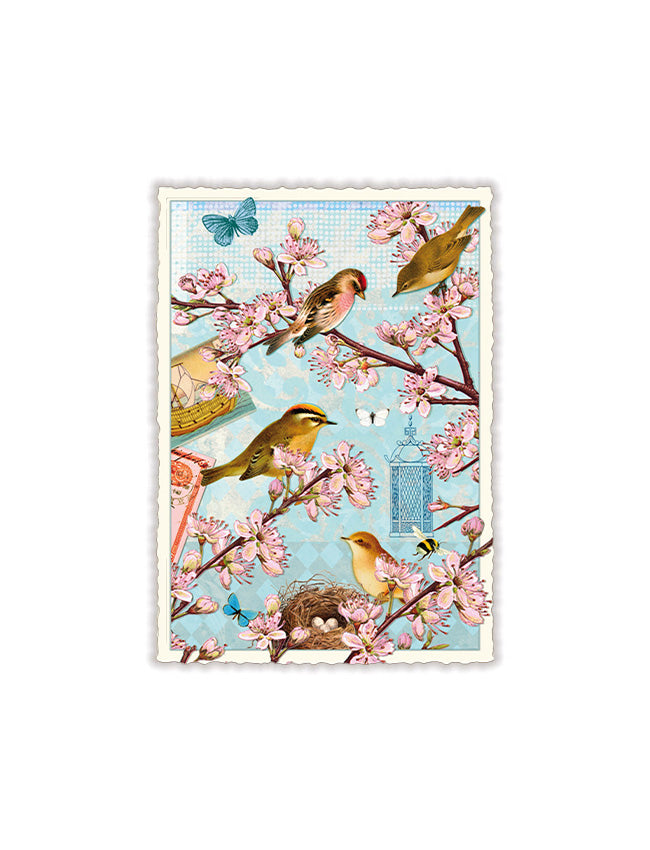 Vintage Cherry Blossoms Postcard
