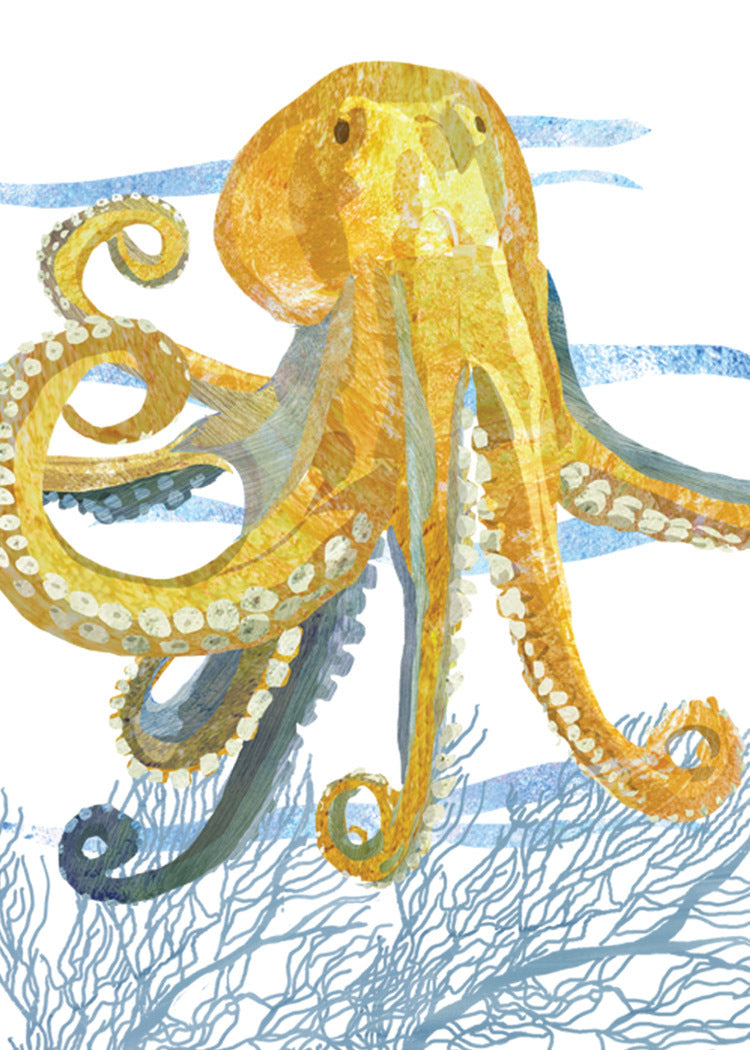 Octopus Card Single Card Blank Octopus Card Single Card Blank