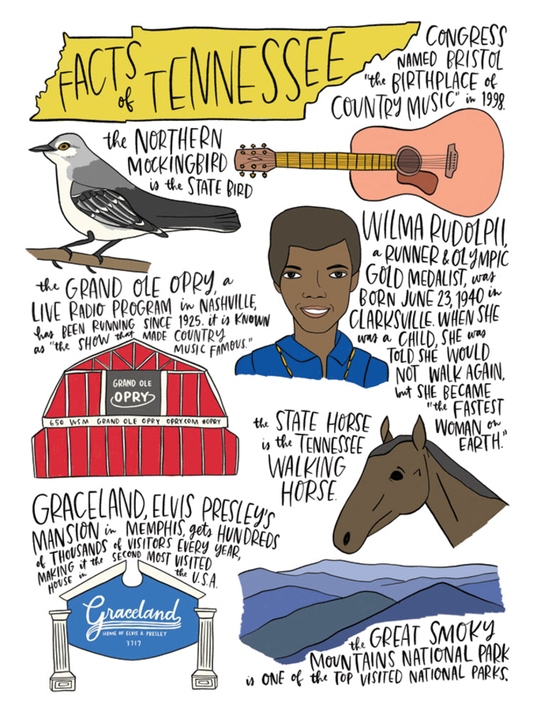 State Facts: Tennessee Card