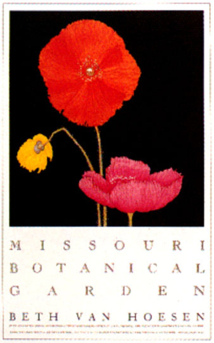 Icelandic Poppies Poster