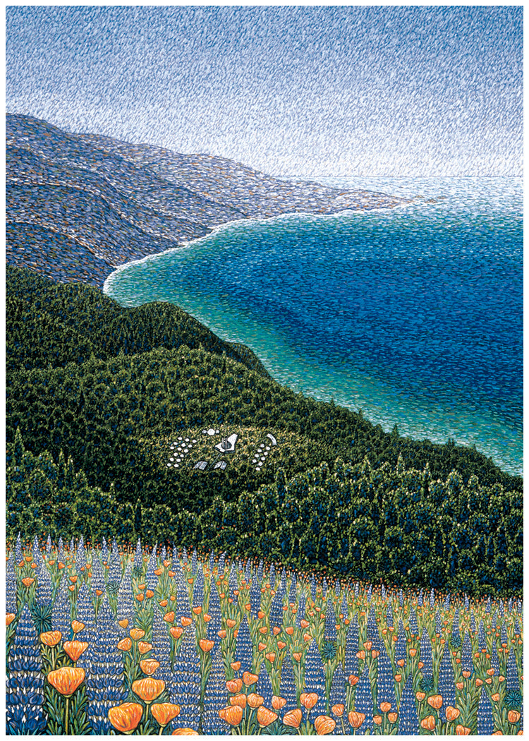 Big Sur, Spring Cards