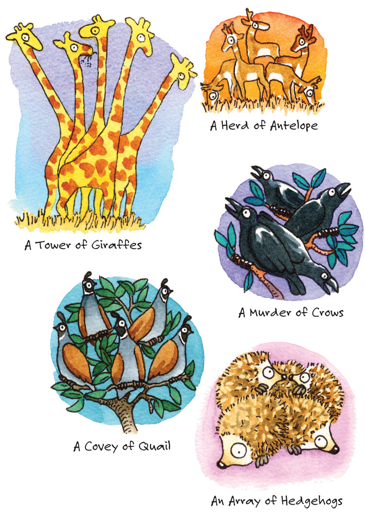 Animal Herd Birthday Card