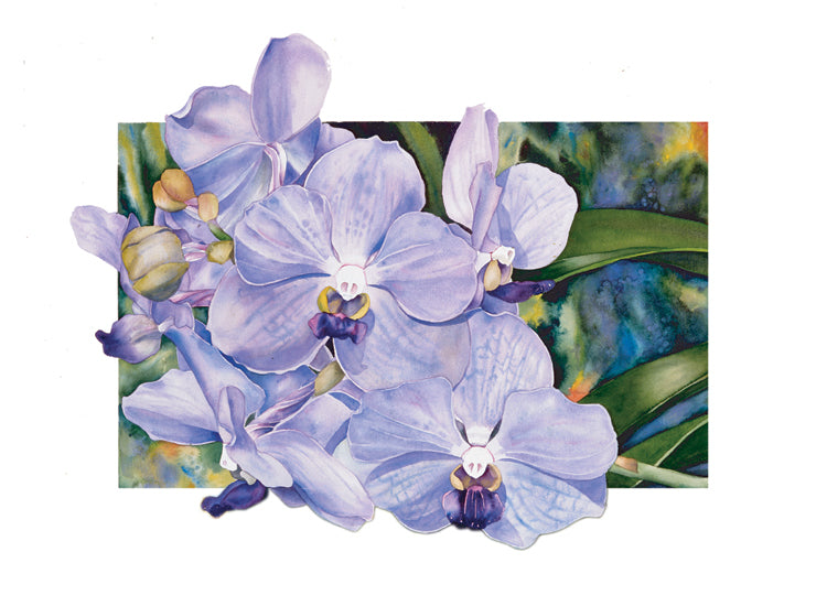 Vanda Rothschildiana Valentine's Day Card
