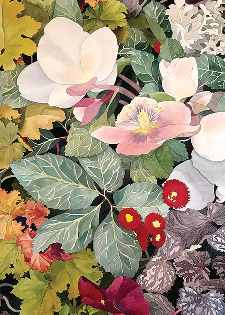 Red English Daisy Card