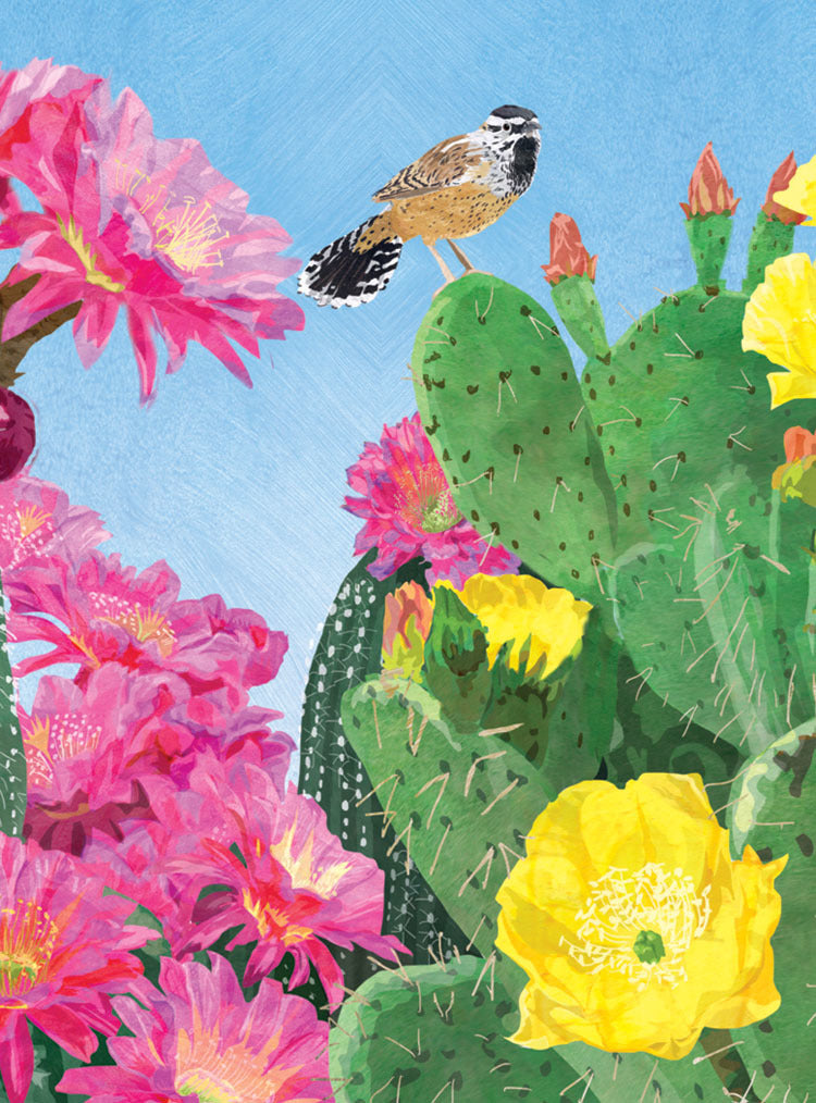 Cactus Wren Cards