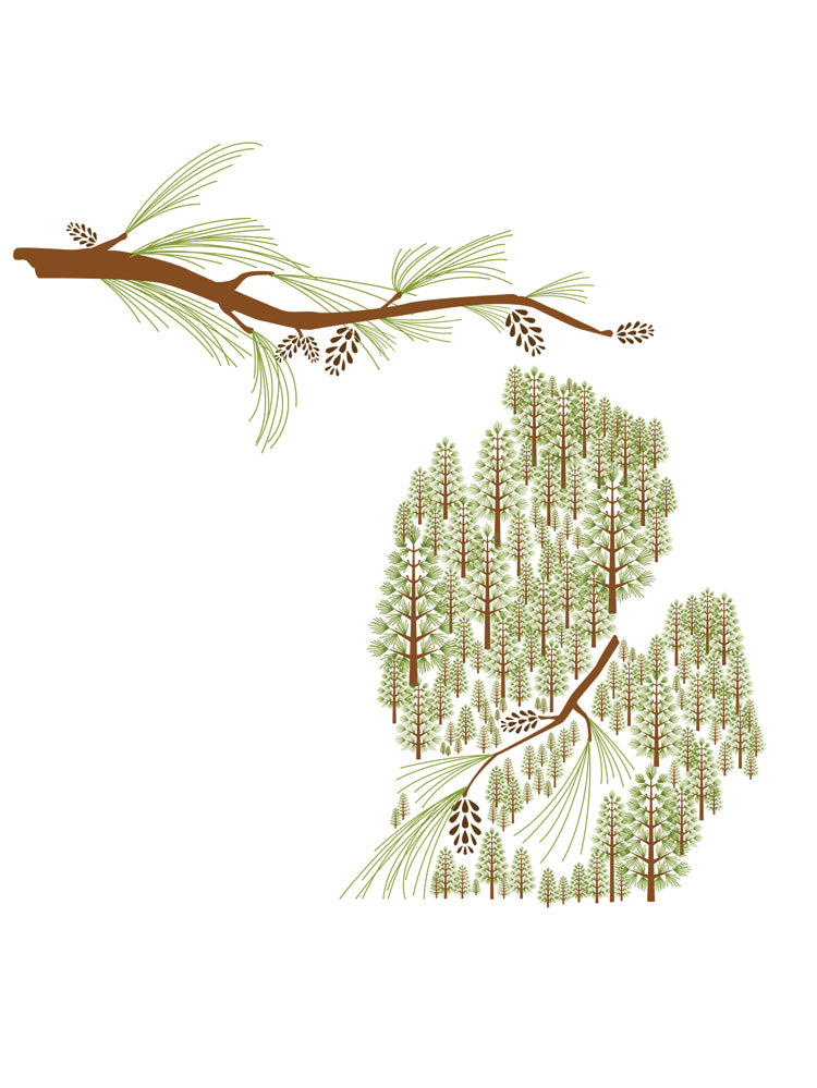 Michigan in Eastern White Pine Blank Cards