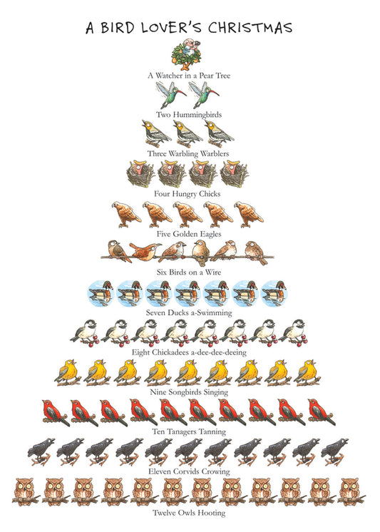 Bird Lover's Christmas 12-Days Holiday Card