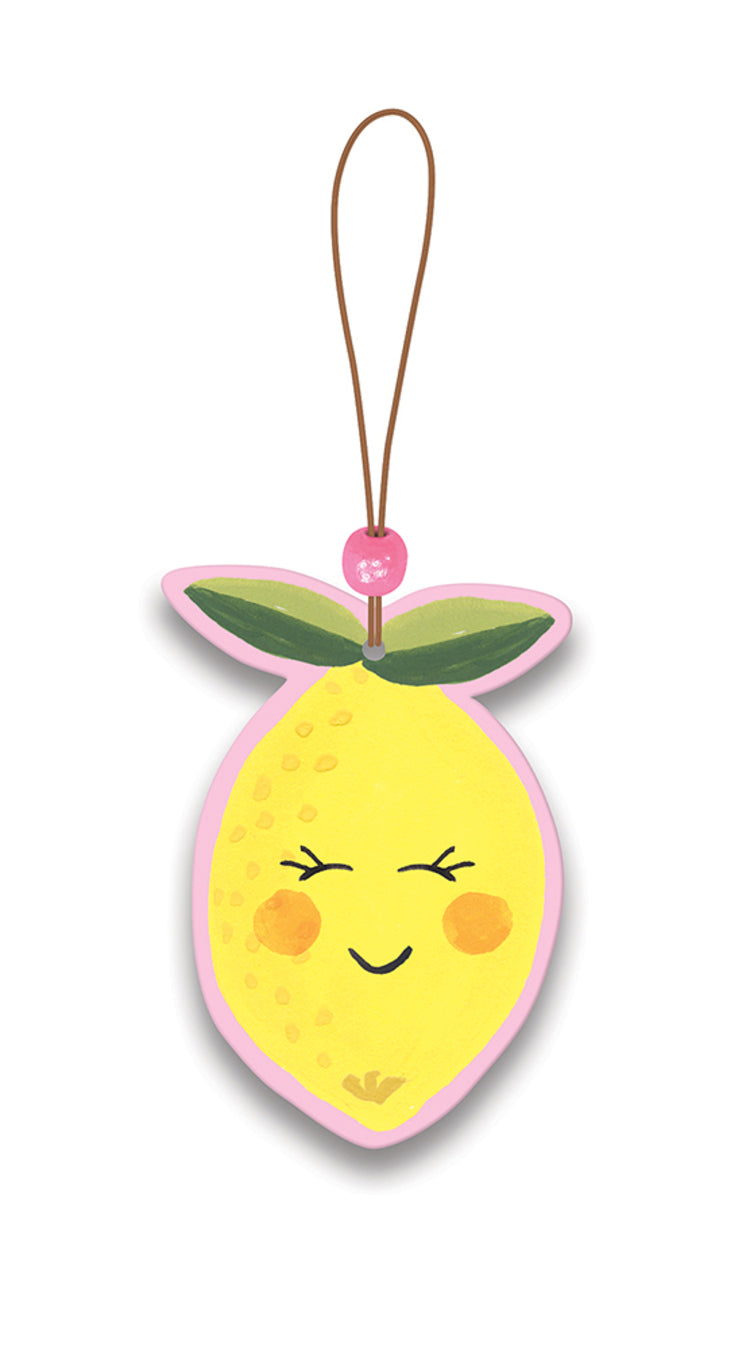 Citrus Bliss Air Freshener Set