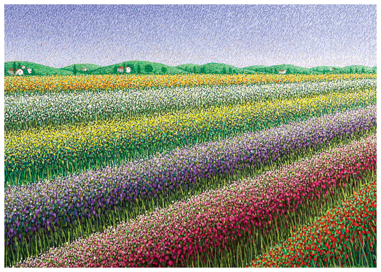 Rainbow Fields Cards