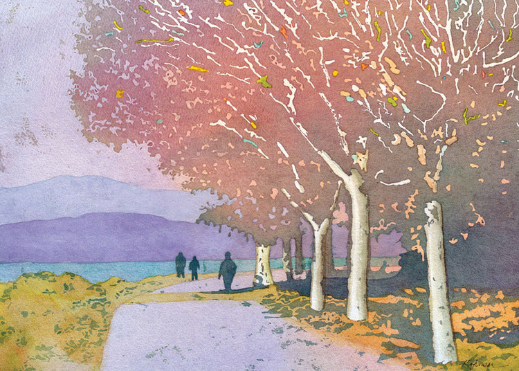 A Walk in the Park Cards