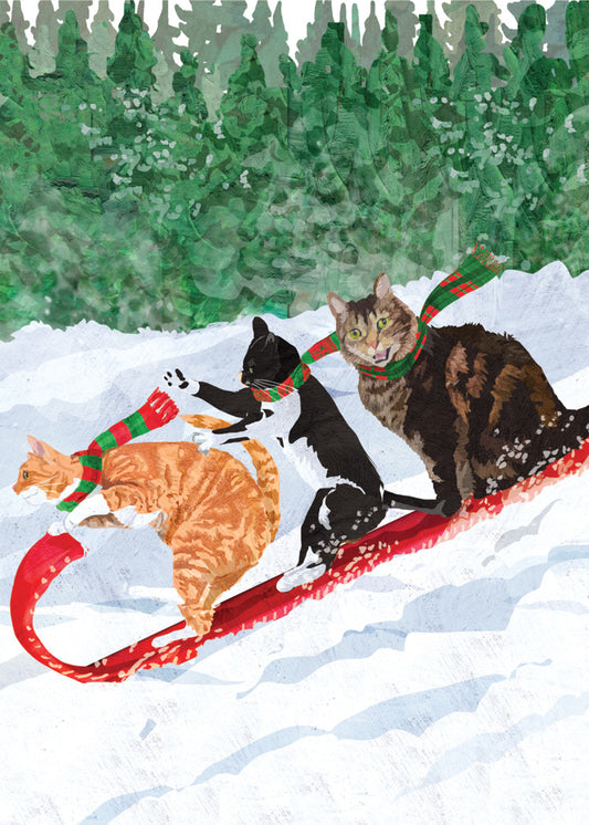 Cats Toboggan Holiday Card