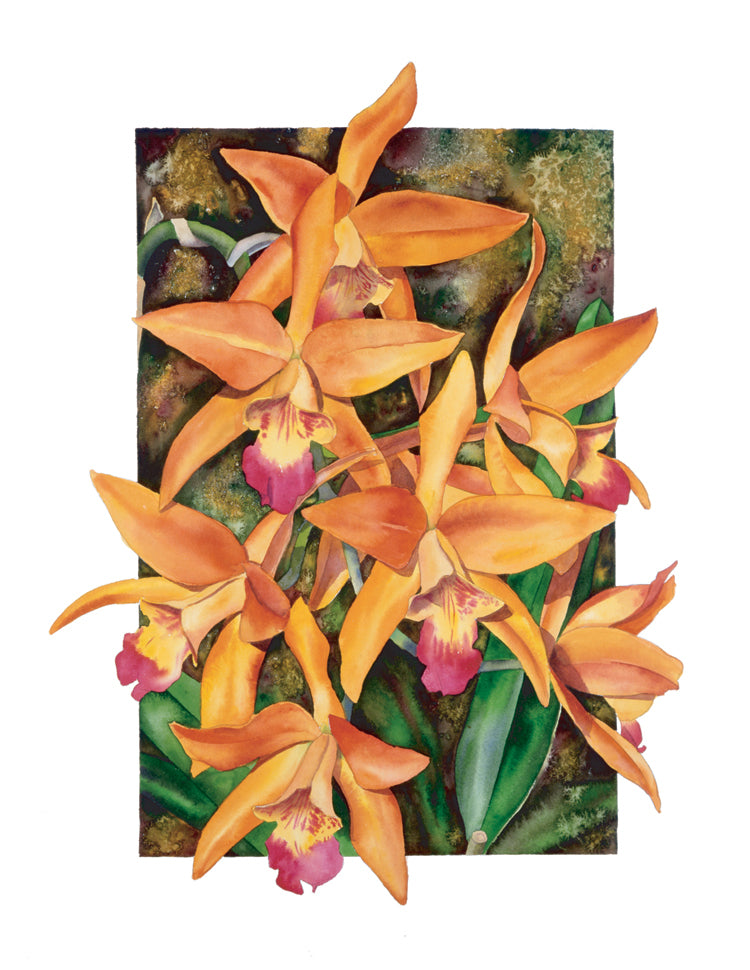 Laelia Santa Barbara Sunset Birthday Card